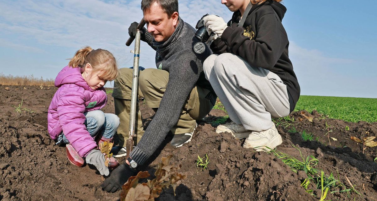 На Куликовом поле высадили 5500 дубков, чтобы восстановить исторический лес